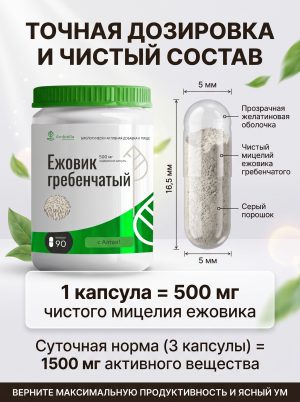 Ежовик гребенчатый