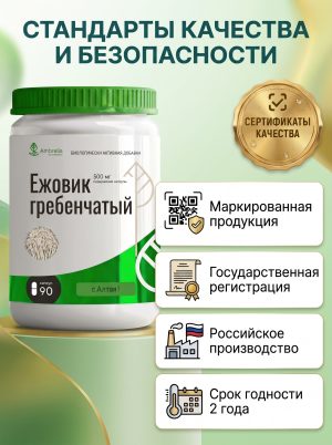 Ежовик гребенчатый